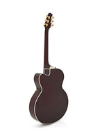 JZ-2 WR GUITARRA ELÉCTRICA JAZZ SERIE LASALLE