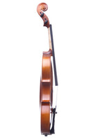 VIOLA 3/4 DE ESTUDIO