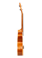 KU-CONCIERTO UKELELE CONCIERTO SAPELE CON FUNDA