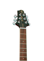 UM-3 GUITARRA ELÉCTRICA TIPO PRS VAULT