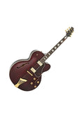 JZ-2 WR GUITARRA ELÉCTRICA JAZZ SERIE LASALLE