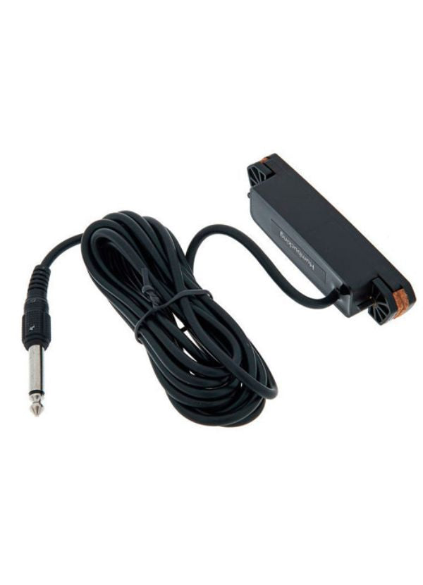 PRO-NEO-D02 HUMBUCKING NEO-D MAGNETIC SOUNDHOLE PICKUP