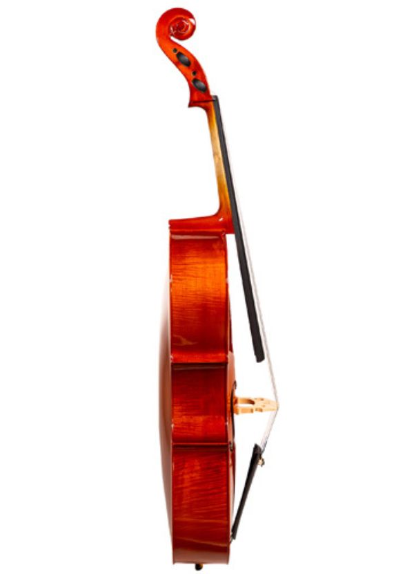 CELLO FLAME 4/4 CELLO DE 4/4 CON FONDO DE MAPLE FLAMEADO