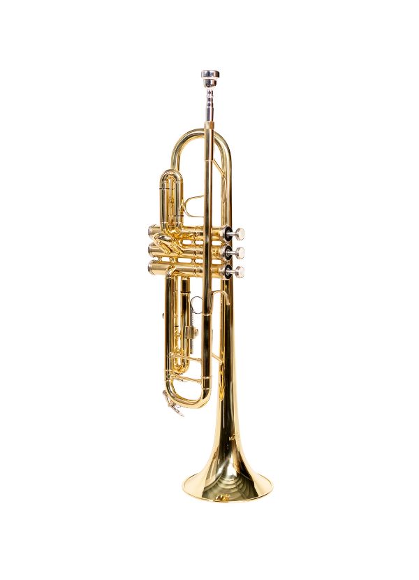 CX-W072 TROMPETA GOLD LACQUER