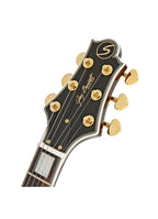 JZ-2 WR GUITARRA ELÉCTRICA JAZZ SERIE LASALLE