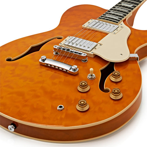 RL-3 GUITARRA ELÉCTRICA TIPO JAZZ SERIE ROYALE